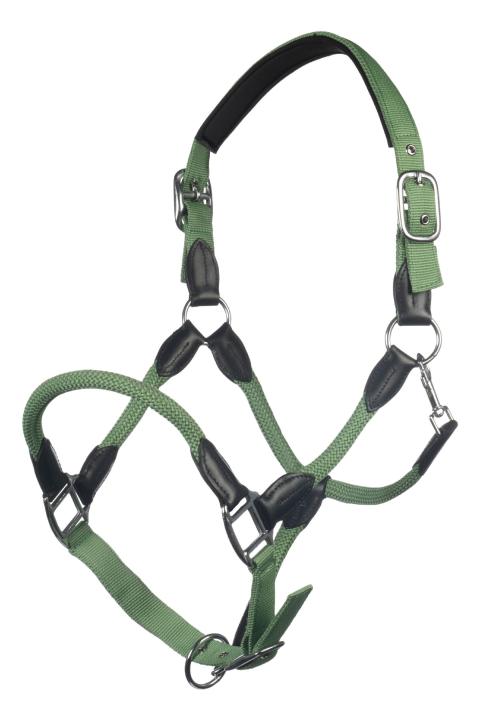 Недоуздок Carlotta Jade Green, комбинированный. HKM